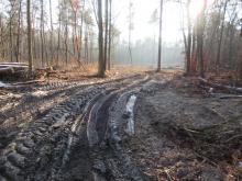 01_ Mosigk. Heide1 B. Rac 2021