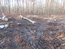 04_ Mosigk. Heide1 B. Rac 2021