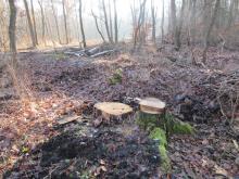 04_ Mosigk. Heide2  B. Rac, 2021