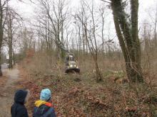 01 Buchenw. B. Rac 02/21