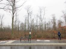 03 Buchenw. B. Rac 02/21