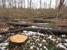 04 Buchenw. B. Rac 02/21