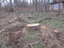 05_Georgengarten/Beckerbruch B. Rac 02/21