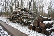 05_Rosenw. B. Rac 02/21