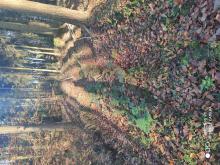 70 cm tiefe Fahrspuren.