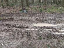 Die Bilder zeigen leider nur einen Bruchteil.