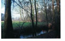 Stromtrassen-Verlauf-Metelen?