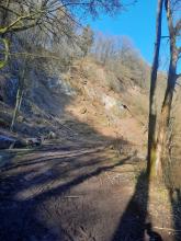 Links im Hang wurde alles abgeholzt. Bilder von den abgeschlagenen Bäume hab ich auch gemacht. Alle Bäume sind gesund