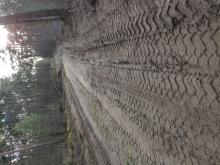 Waldweg zuvor ca 3m breit auf das doppelte verbreitet