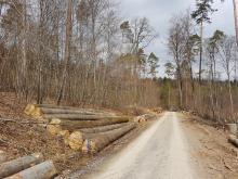 Hößlinswart - Rems-Murr-Kreis