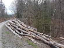 Rettersburg - Rems-Murr-Kreis