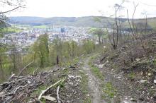 Waldweg bergab links und rechts südliche Hanglage, Blick nach Süd-West, Tierstein, 73447 Oberkochen. 05.2021