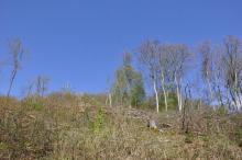 Blickrichtung von Heideweg nach Wohngebiet Heide. 05.2021