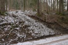 Verantwortlich für das Bild: Martin Scheuerl