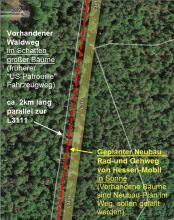 Den vorhandenen breiten Waldweg will Hessen nicht als Radweg ausbauen, stattdessen mitten durch alten Baumbestand gehen