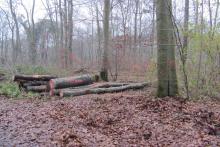 ...bereit für den Abtransport