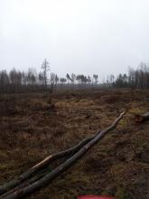 so sieht es rund um das ganze Gebiet aus