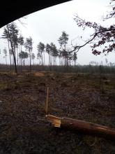 so sieht es rund um das ganze Gebiet aus