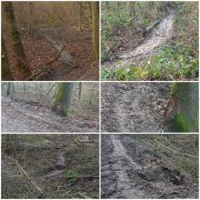 Aschbachtal Gersweiler