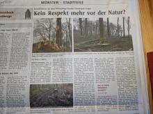 Zeitungsartikel zur Fällung in den Westfälischen Nachrichten