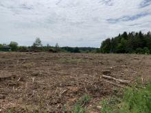 91236 Alfeld Vogelherd