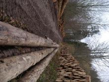 Nur ein Teil des Holzeinschlages