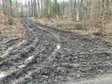 Verwüstete Schneisen im Wald