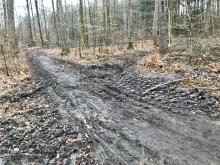 Wege stark geschädigt