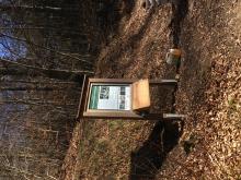 Gefällte Bäume im Naturschutzgebiet Gillesbachtal (Eifel)