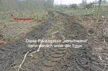 Danach über die Baggerspur drüber geeggt