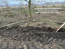 Waldrand komplett zerstört, sogar Weissdorn entfernt