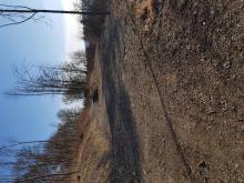 Kahlschlag und Erweiterung des Weges