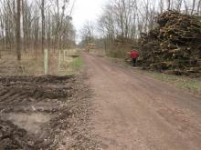 22_02_02 Wörlitz-Coswig