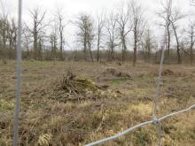 22_02_05 Kahlschläge