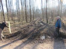 22_02_03 Wörlitz-Coswig