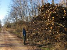 22_02_04 Wörlitz-Coswig