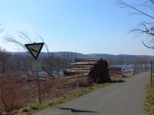 Waldareal entlang des Möhneseeradwegs