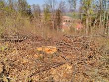 Zerstörung und Verwüstung