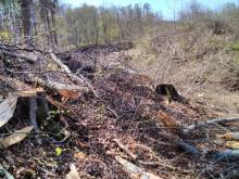 Verwüstung und Zerstörung