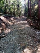 Rückegasse 4m breit und ca. 200m lang im Bergmischwald