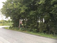 gegenseitige Bedrängung des wildwachsenden Aufwuchses zerstöre die Ökologie des Waldes: Wald u. Holz NRW