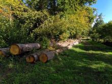 Deprimierend: Holzernte (mit: Wald und Holz NRW) im Venner Moor!