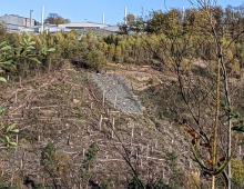 Spalt mit Schotterfüllung