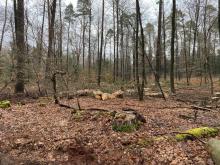 Teil des betreffenden Gebietes