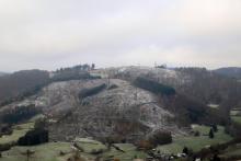 Kahlschlag westlich Puderbach