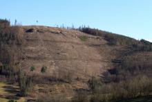 Kahlschlag östlich Puderbach - Richtel 3