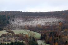 Kahlschlag N/O Puderbach