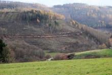 Kahlschlag Hinter der Höhstadt 1