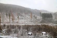 Kahlschlag Märchenweg Puderbach 2