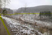 Kahlschlag Märchenweg Puderbach 3